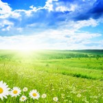 shutterstock_22864789 shutterstock_22864789